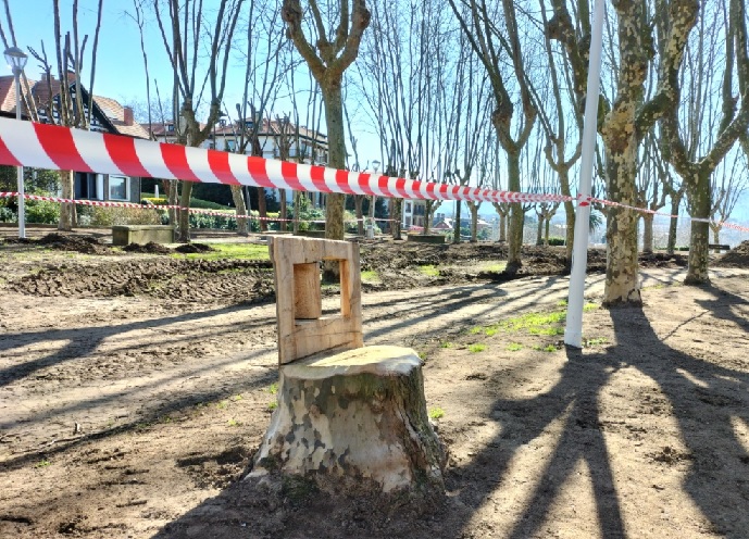 CARTA AL DIRECTOR| El ecofryendlismo del Ayuntamiento de Getxo: Matar un árbol para convertirlo en banquito